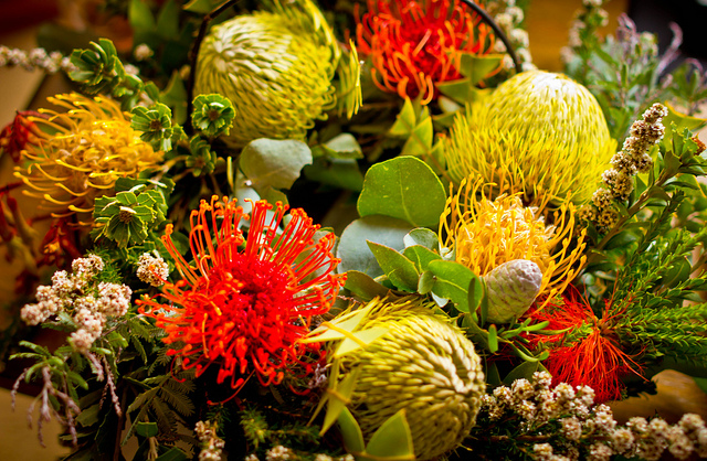 What a Florist Castlecrag Considers When Sourcing Native Flowers
