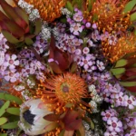What a Florist Castlecrag Considers When Sourcing Native Flowers